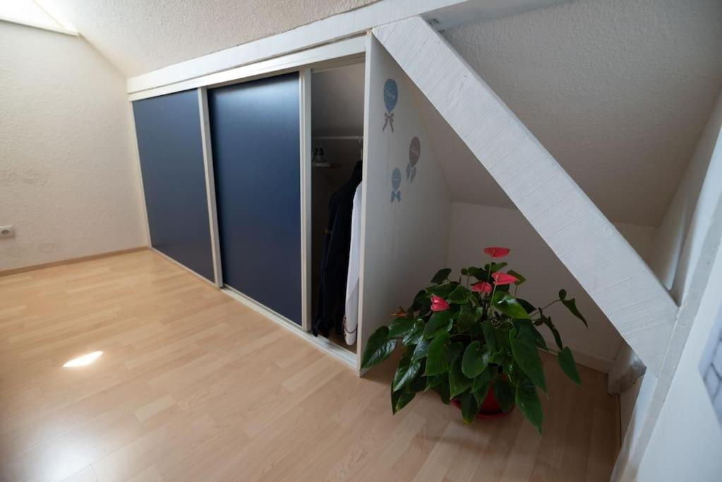 Gite Les Lavandieres Saasenheim エクステリア 写真
